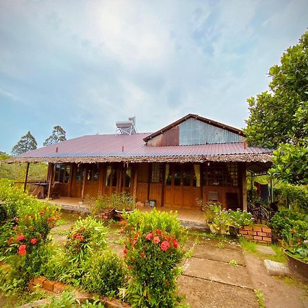 mekong riverside homestay Vĩnh Long Eksteriør billede